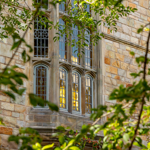 The gothic windows of Branford peek through tree branches 