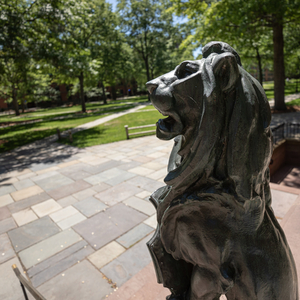 A lion-headed gargoyle watches over Old Campus